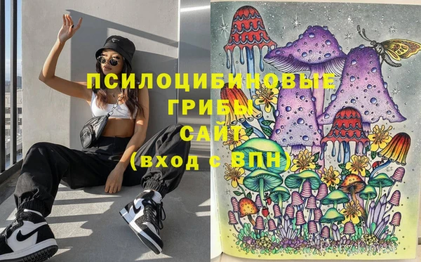 mdpv Арсеньев