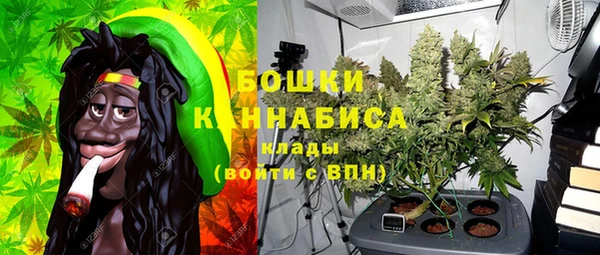 дживик Аркадак
