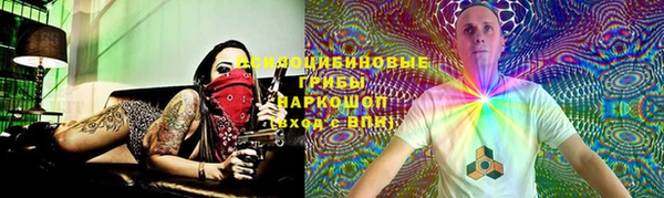 дживик Аркадак