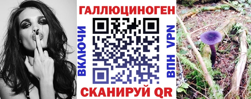 Псилоцибиновые грибы мухоморы  Багратионовск 